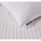 Blue Ridge Back-Sleeper White Goose Feather & Down Fiber Pillows, Jumbo, PK2 CN229101K - alternate 2